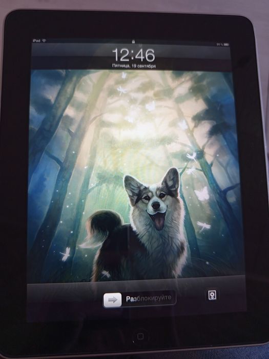 iPad А1219, 64 gb первого поколения