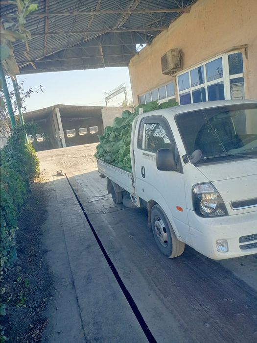 Кумир Kumir 1700 сум  Атбор Samarkand shaxar da