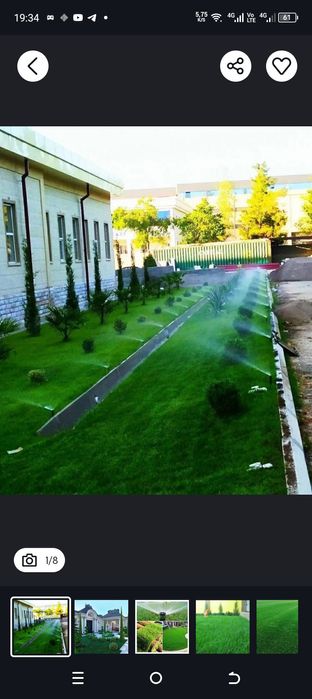 Savdonik Boğbon xizmati