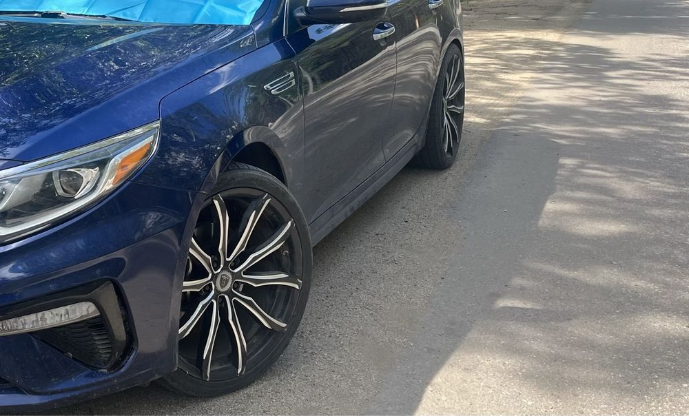 Диска с ризиной