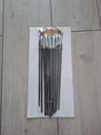 Set pensule pt pictura