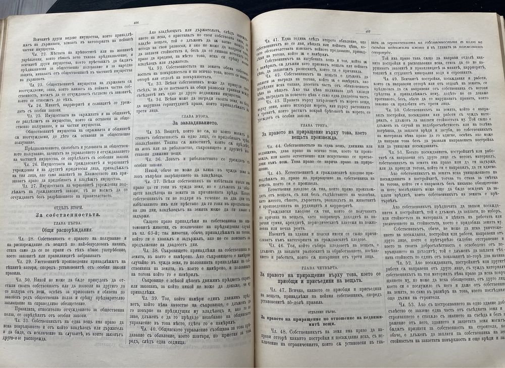 Стенографски дневници на VIII Народно събрание от 1984 г
