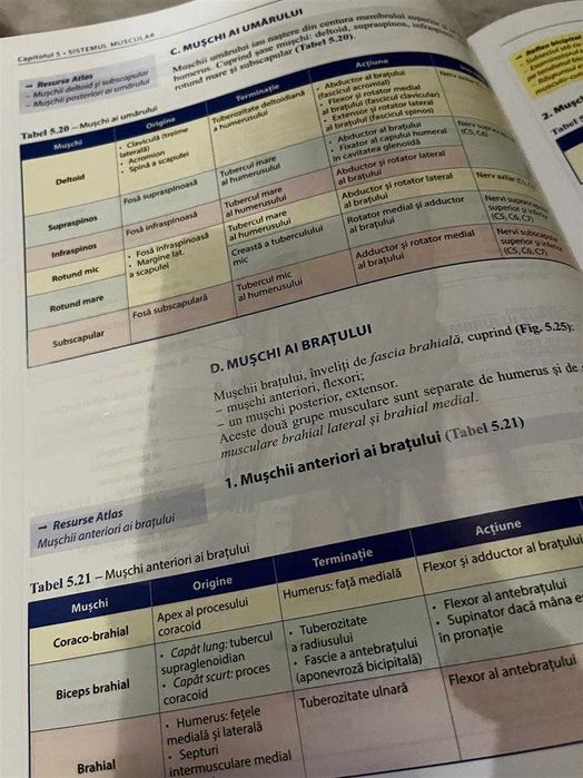 Bazele Anatomiei, Pierre Kamina