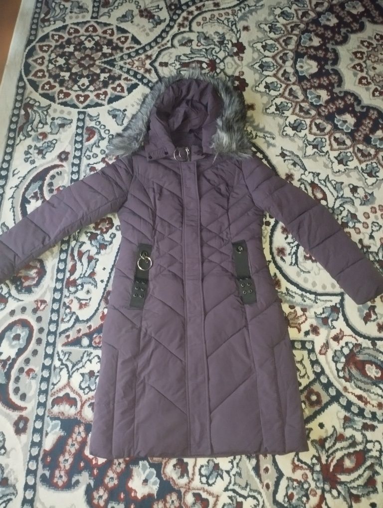 Ayollar kurtkasi
