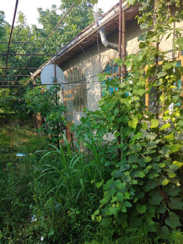 Vanzare casa la tara