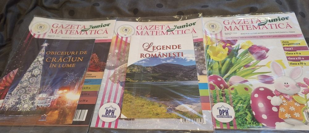 Gazeta matematica junior