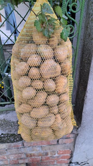Самоковси картофи сорт Сорая