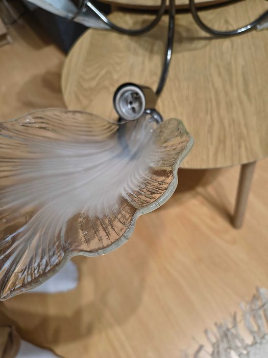 Запазен полилей.