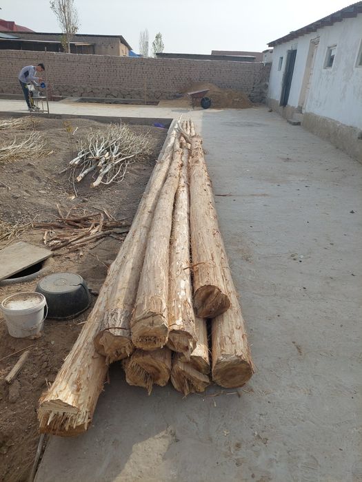 Актерек сатылады