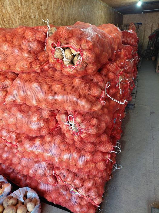 Картофель едовой по 100 тенге