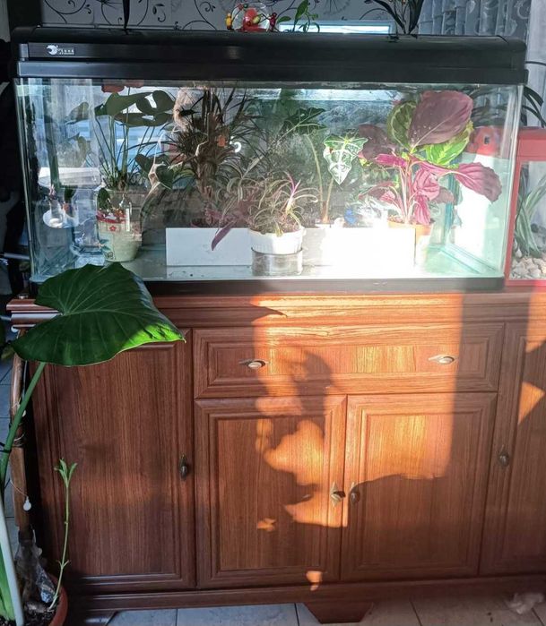 Продавам аквариум с цялостно оборудване