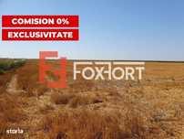 COMISION 0% Teren extravilan 4,47 ha, 800m front stradal, Peciu Nou -
