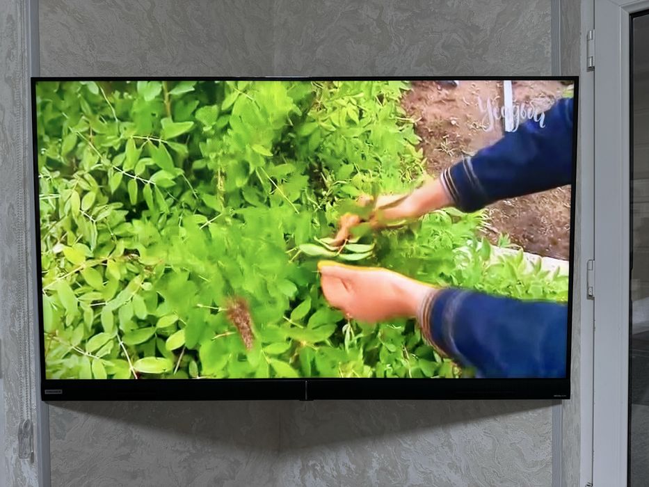 55 TV  Televizor 2ta