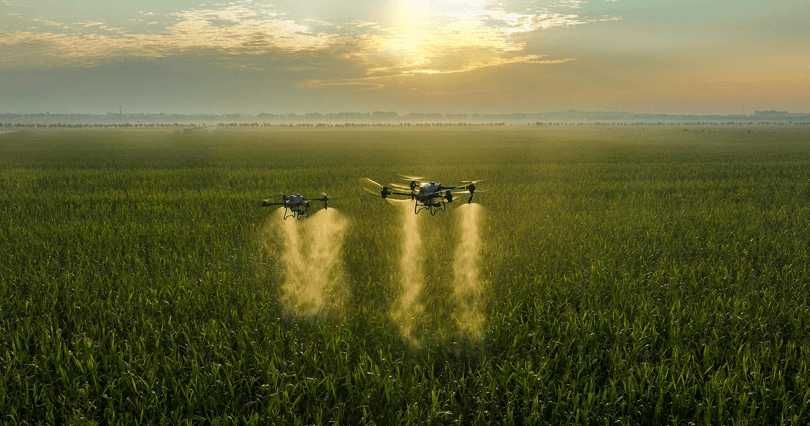 Prestari Servicii Fitosanitare cu Drona Agricola