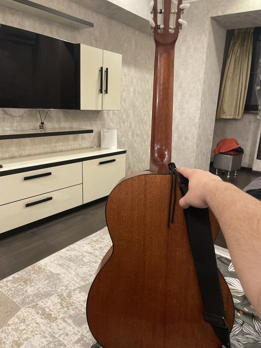 Гитра Gort Ac100