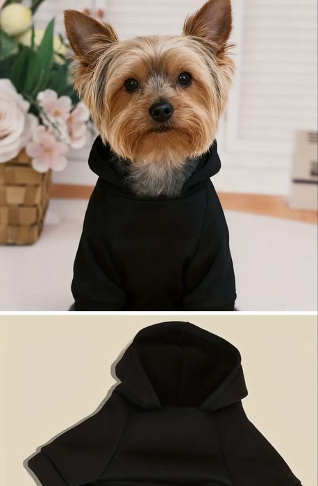 Модерни дрехи за кучета: Суичъри (Худита) с надписи, Пуловер (S, M)