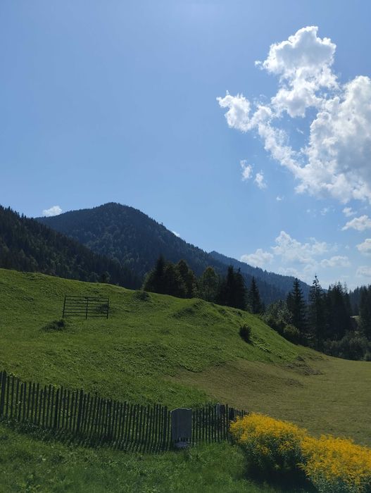 Cabana si trei terenuri adiacente, situate in extravilan