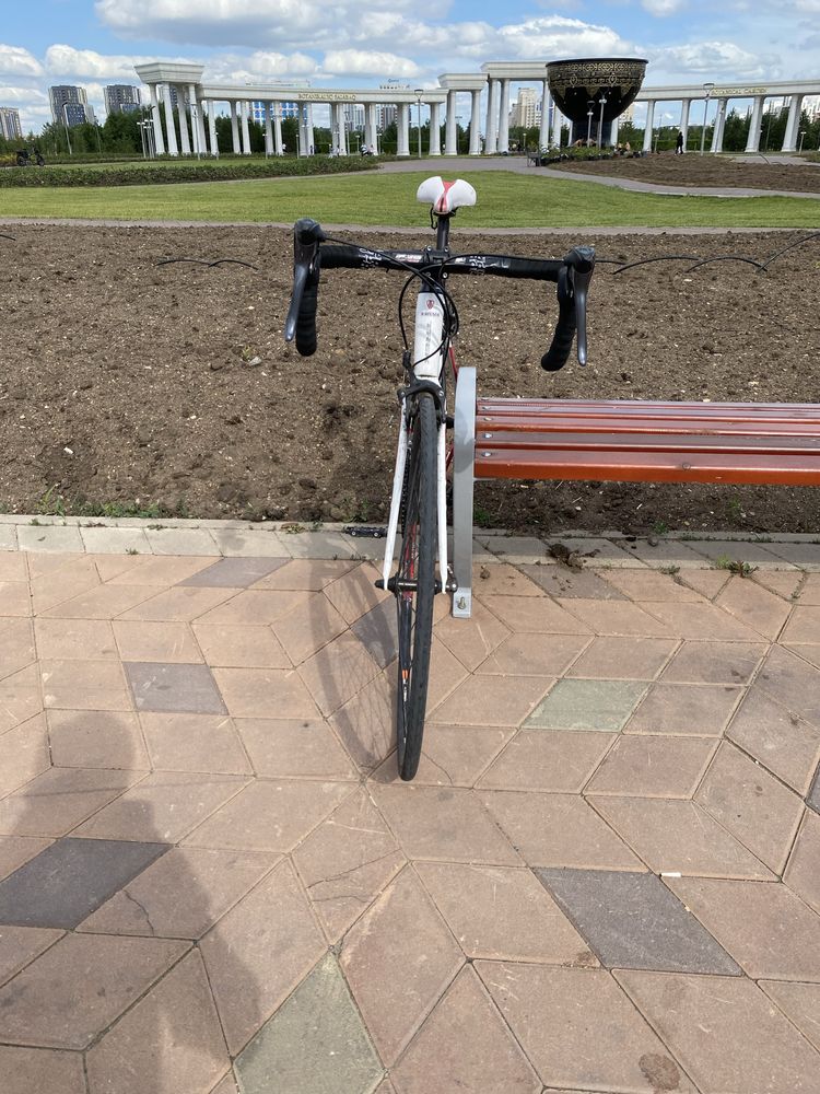 Trek alpfa 1.1 one series