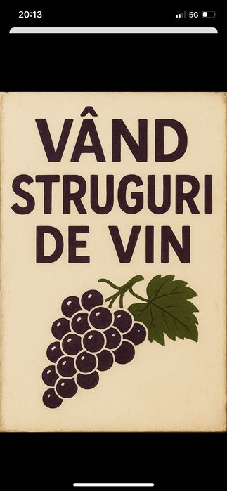 Strugurii de vin