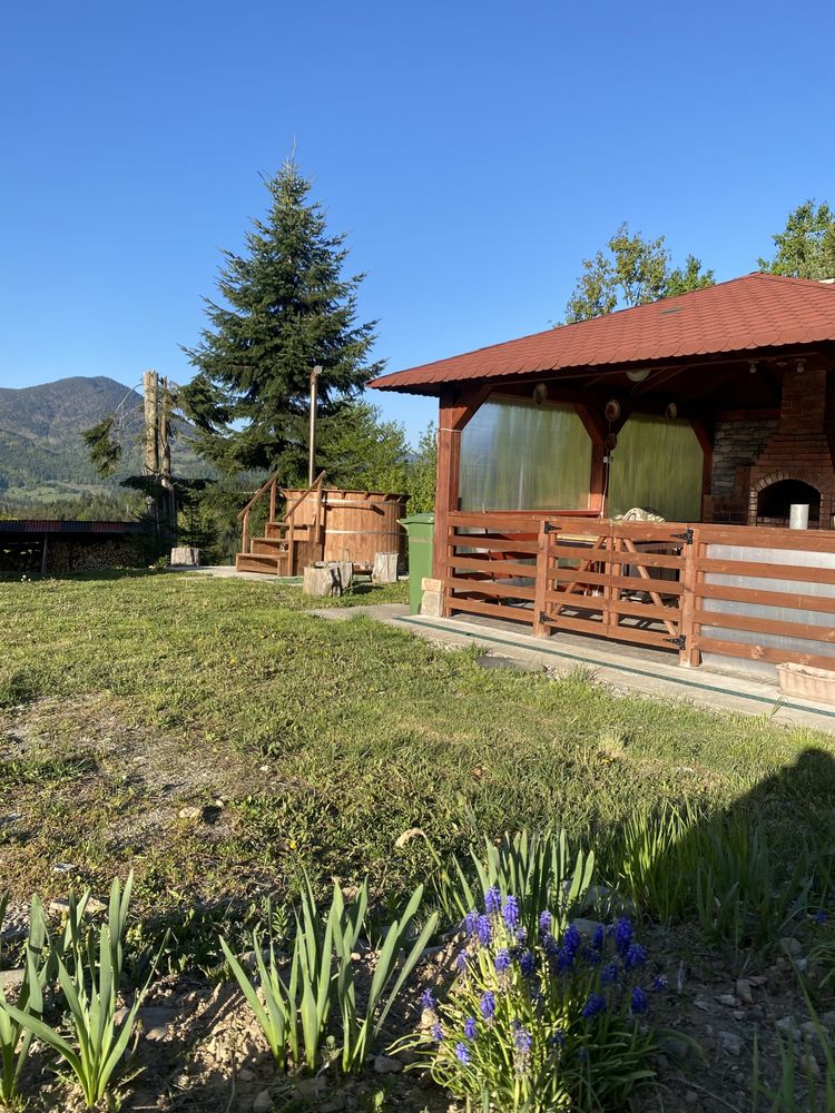 Cabană de închiriat la Colibița