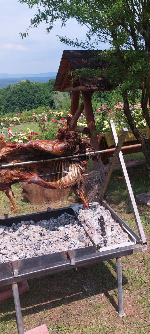 Bucătar profesionist, ciorba de potroace ,mese festive