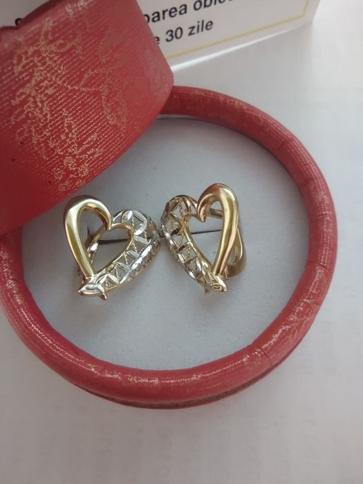 Cercei aur 14k (efn)