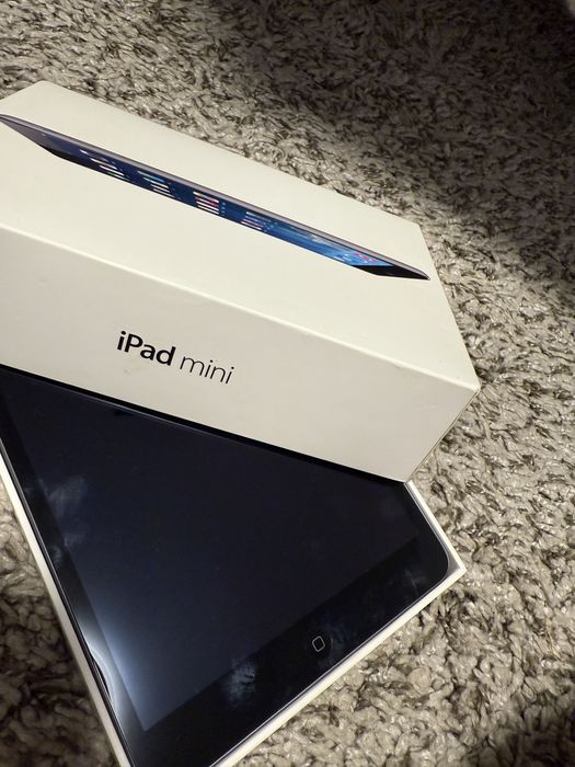 IPad mini , 16 GB grey