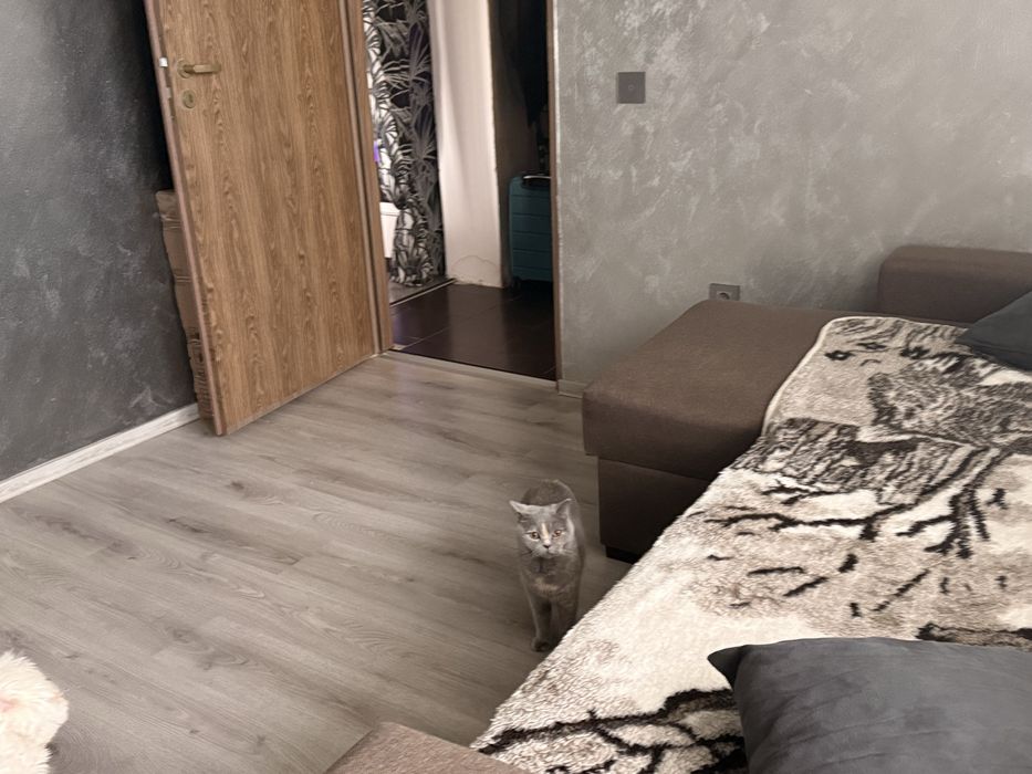 Vand ap 2 camere in Piata abator