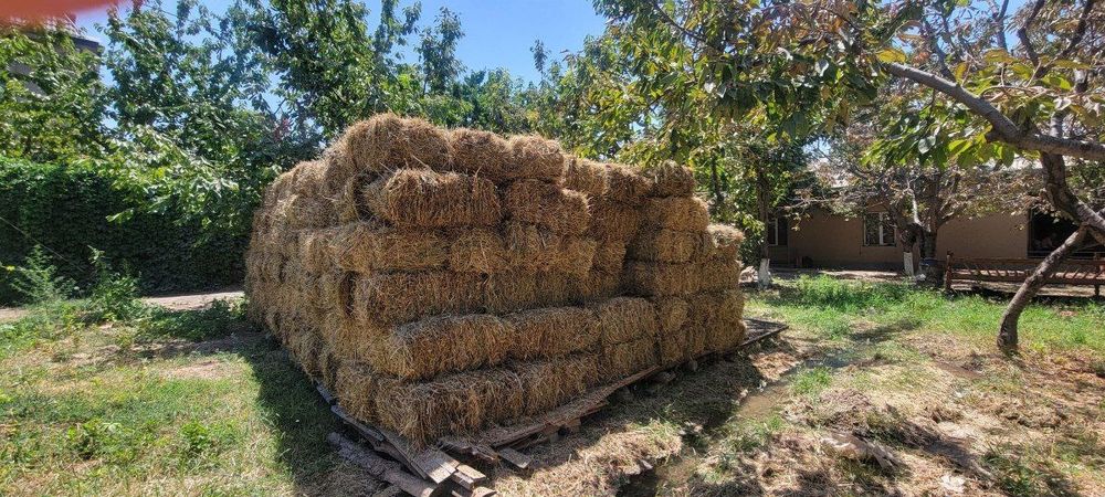 Сифатлик беда,хашак,тариқ аралашмасидаги пресс