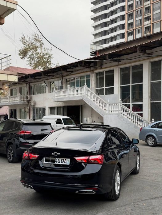 Malibu 2 qora 2023 krasska tozza