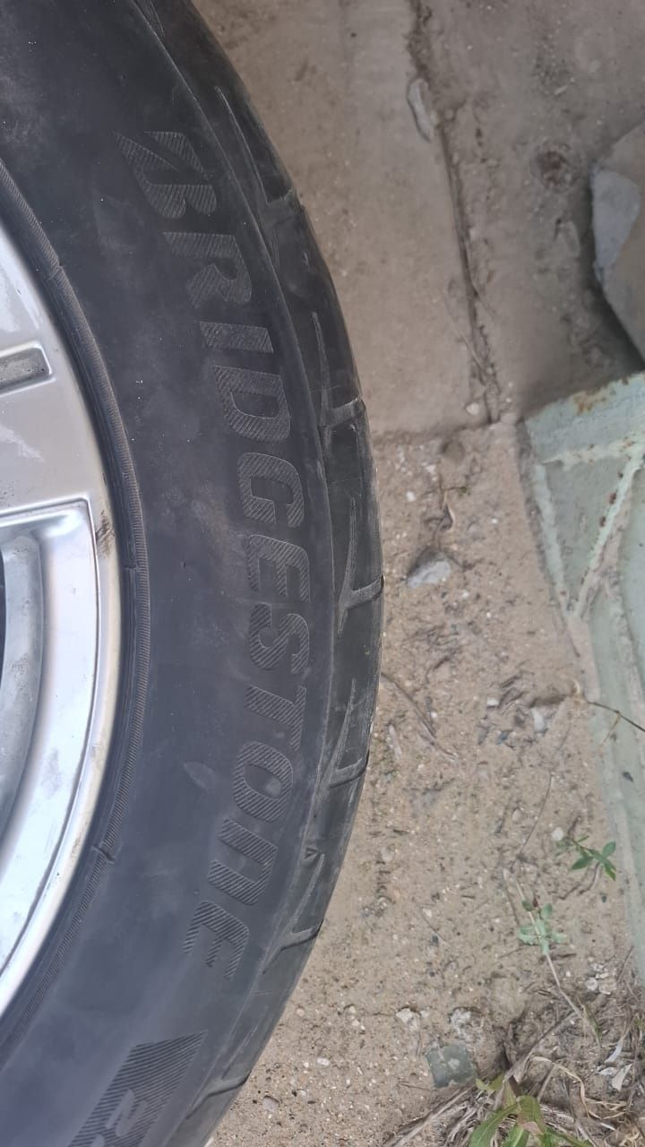 Шина с дисками..