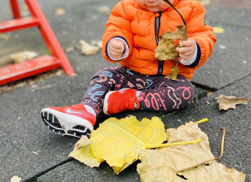 Geaca bebe Next 6-18 luni