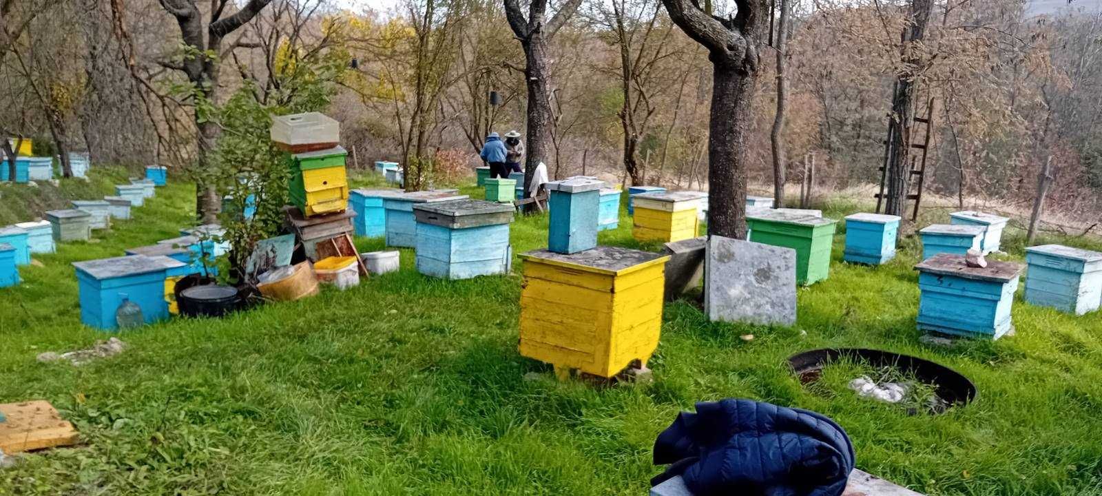 Пчелин 9379-0165 в село Владимирово
