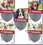 Advantix antiparazitar