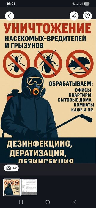 Дезинфекция. Дезинсекция. Дератизация.  Борьба тараканы, клопы