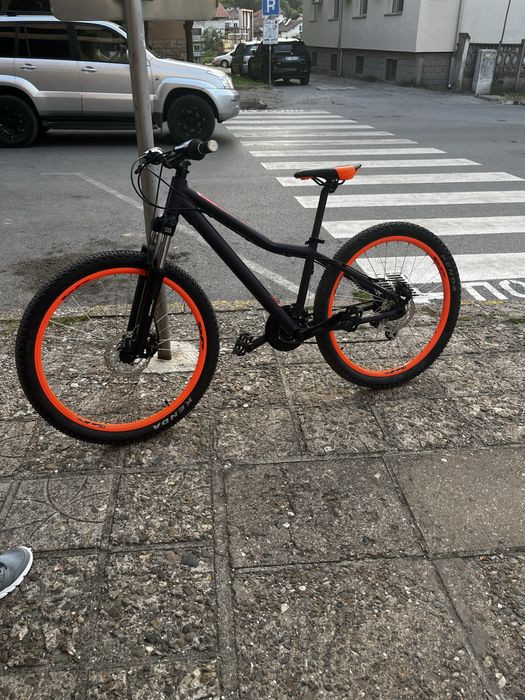 Cross Rebel 2021