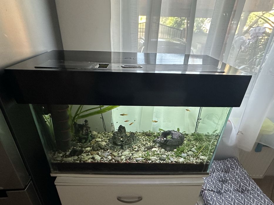 Acvariu 80 L cu pesti si accesorii