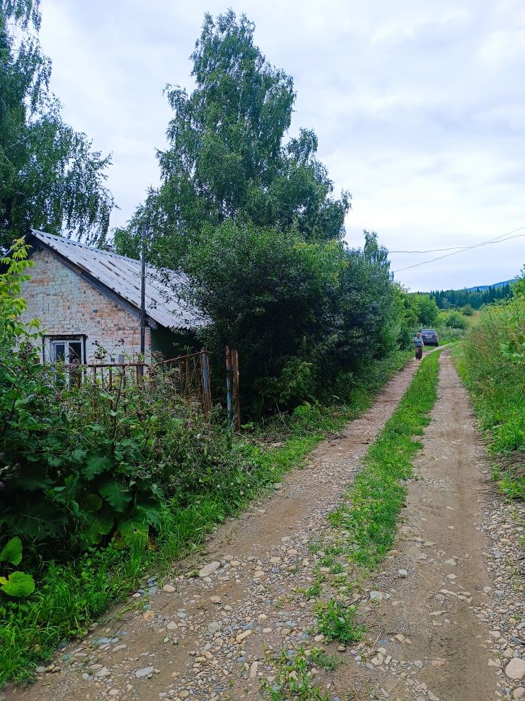 Продам дом в Топихе