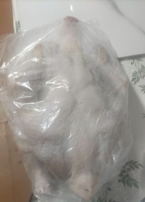 домашние бройлеры