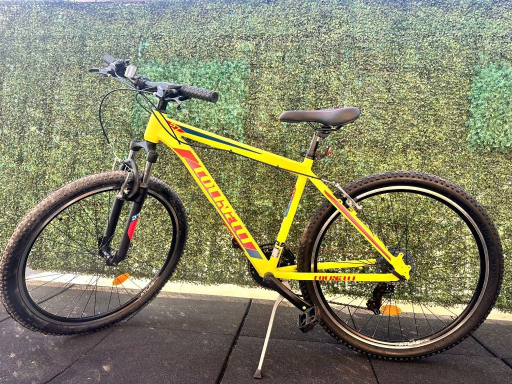 Bicicleta Mountain Bike Colinelli