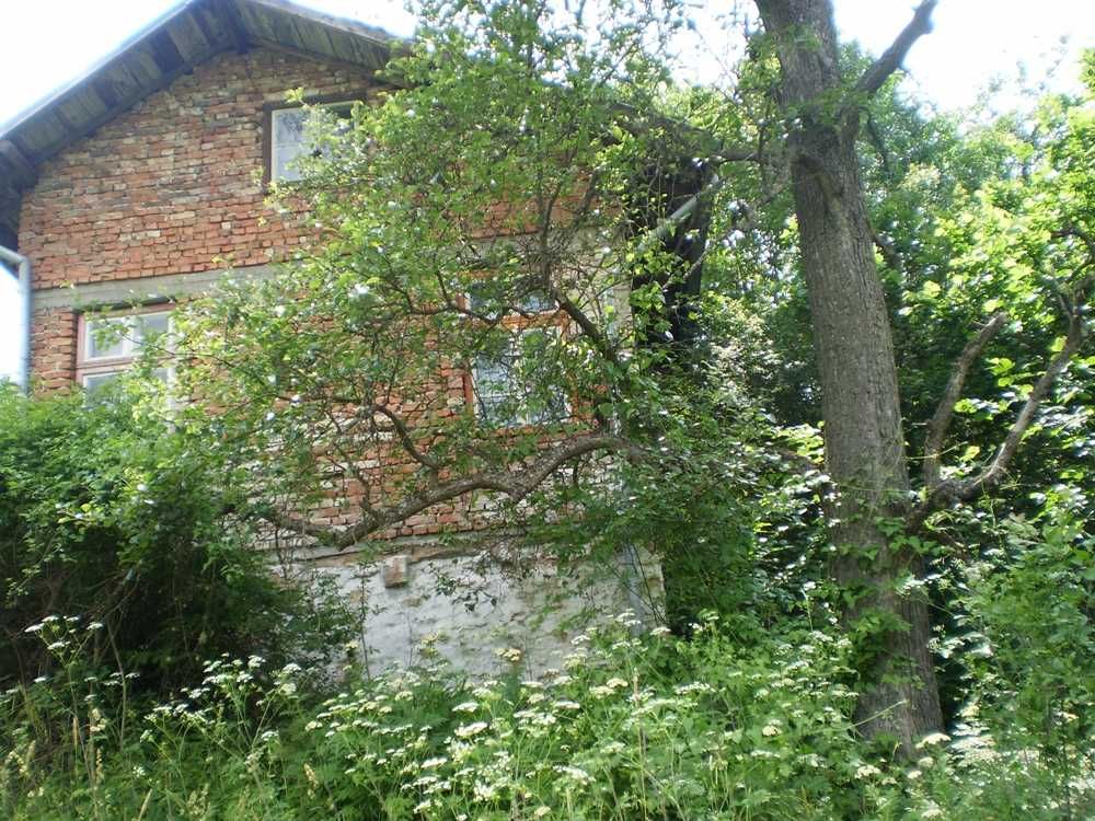 Продава се Къща в с. Добри дол, Област Кюстендил - 30 кв.м за 250 €/кв.м - Снимка #5