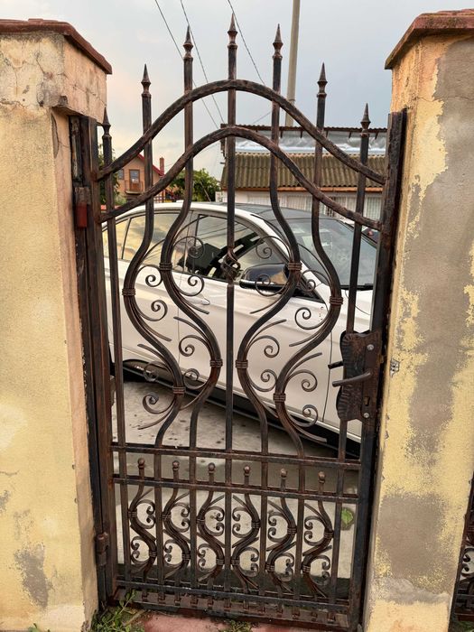 Gard metalic (porti si panouri)