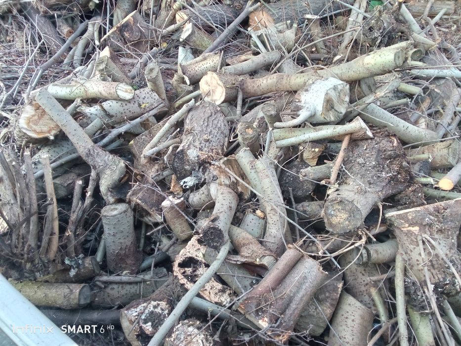 Мевали дарахт ўтинлари