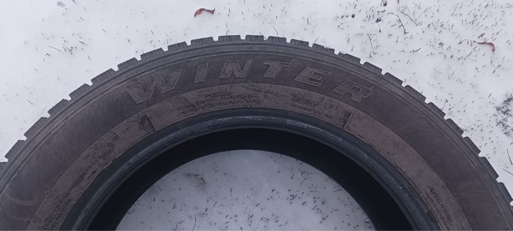 Шины Triangle Winter