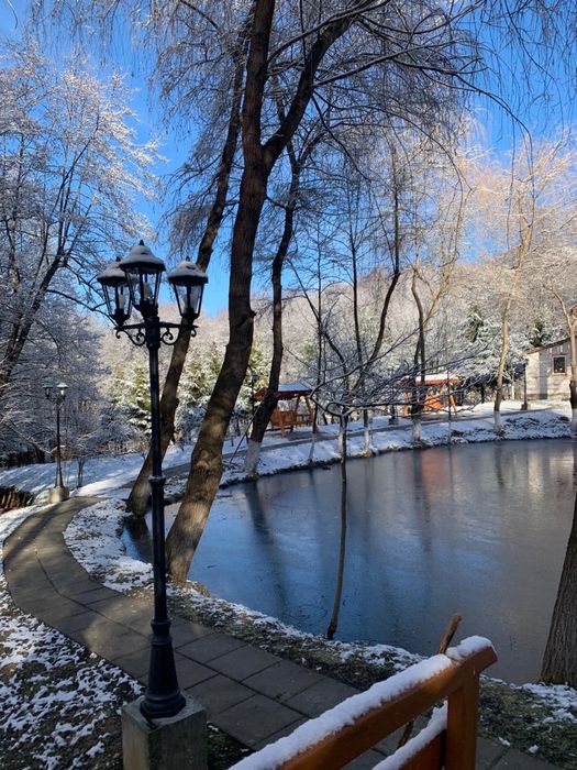 Oferta de Revelion 2026 : Vila Lac Resort Codrii Vlasinului Vanatori