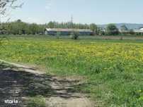 Teren agricol zona Killer-Zada, Horodic de jos
