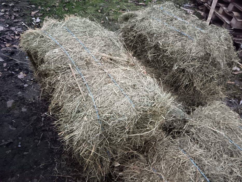 Baloti lucerna/otava ofer transport