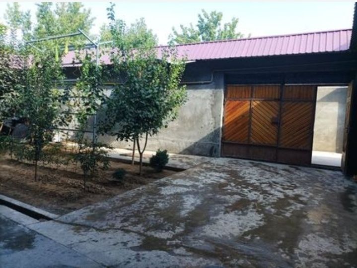 Medgaradokda hovli oila ,qizlarga,bollarga ijaraga beriladi.
