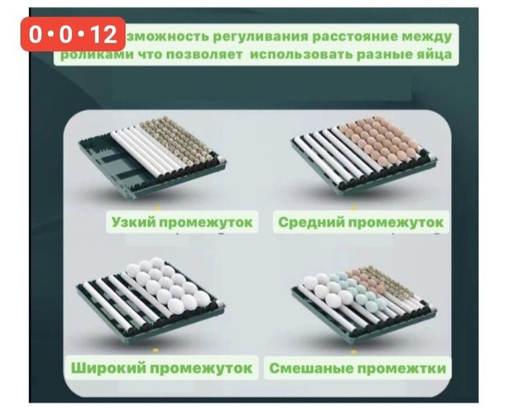 Инкубатор, сетка для перепелов