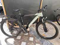 Velosiped drongo